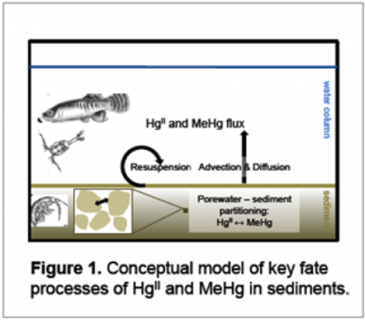 ConceptualModel