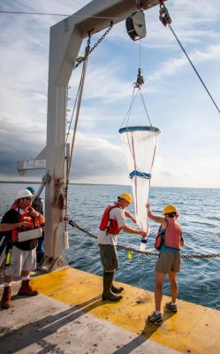 KatiSampling