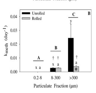 Roni's meth data